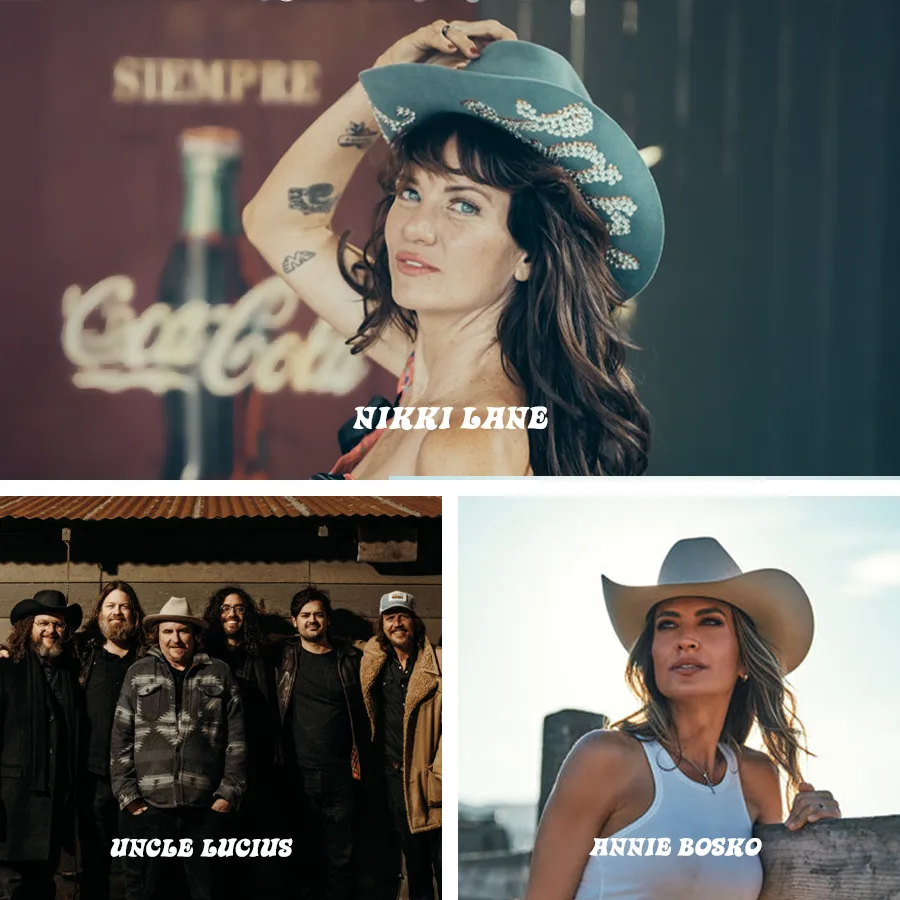 band-collage-3 Music Festival Collage